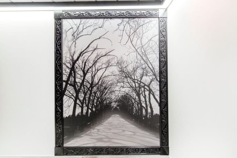 Framed grayscale photo of dead trees arching over an empty road
